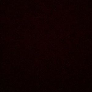 Meet your Posher, Sal